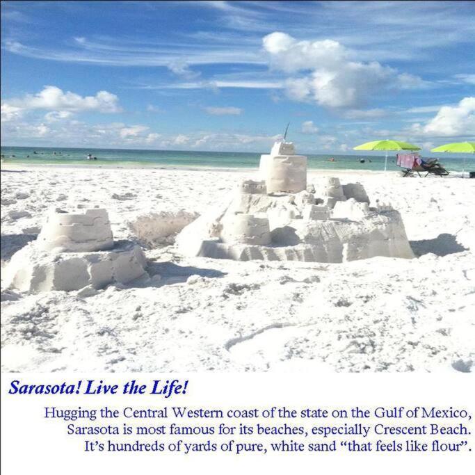 Bernice 3Bd2Bth With Heated Pool Near Siesta Key! Сарасота Екстериор снимка